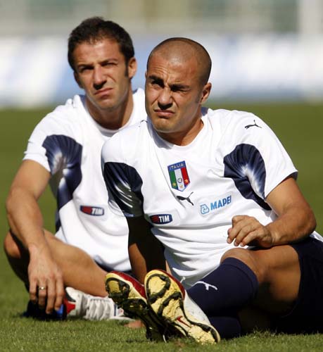 了新的活力 了新的活力